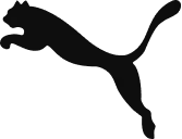 Partenaire principal 1